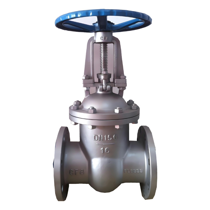 Stainless steel gate valve